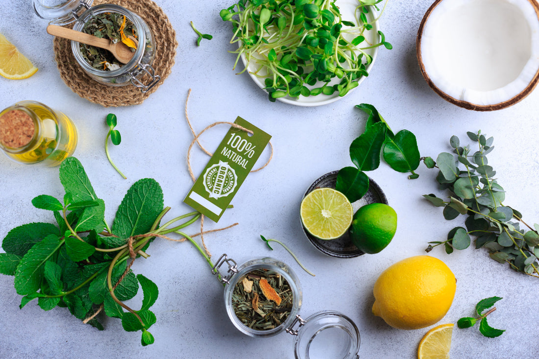 Ayurveda: The Timeless Science of Natural Healing